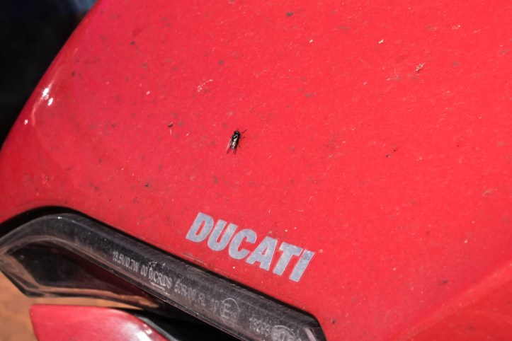 3 NT and back to Adelaide - Full-16