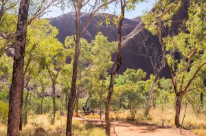 3 NT and back to Adelaide - Full-20