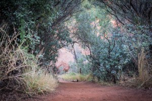 3 NT and back to Adelaide - Full-27