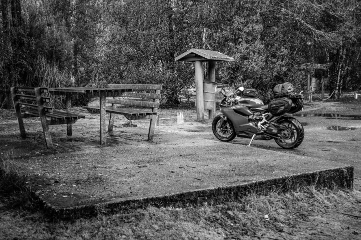 5 West Coast of Tasmania-19