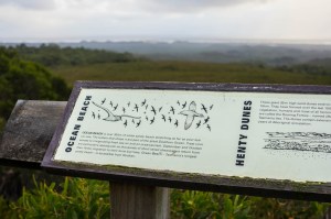 5 West Coast of Tasmania-36