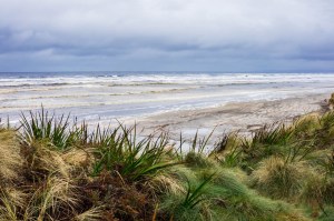 5 West Coast of Tasmania-48