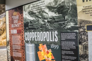 5 West Coast of Tasmania-63