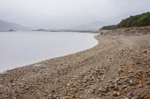 5 West Coast of Tasmania-65