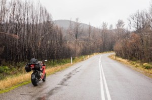 5 West Coast of Tasmania-66