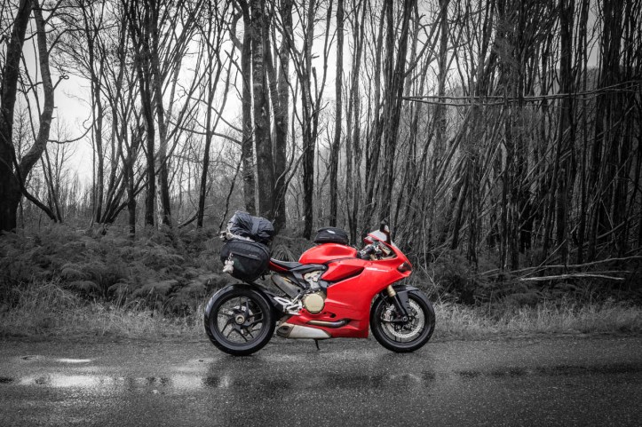 5 West Coast of Tasmania-67