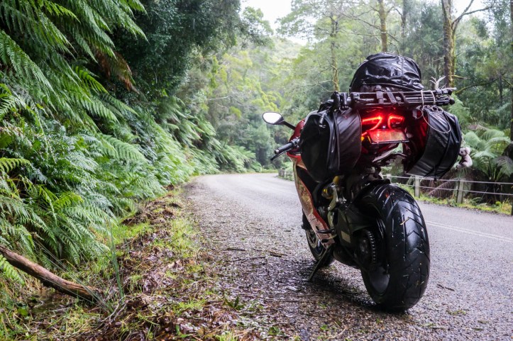 5 West Coast of Tasmania-68