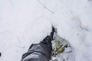 5 West Coast of Tasmania-76