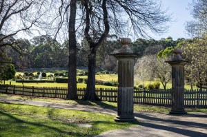 6 East Coast of Tasmania-113