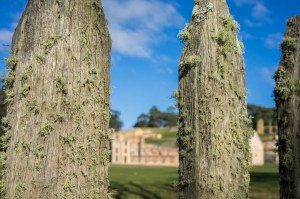 6 East Coast of Tasmania-114