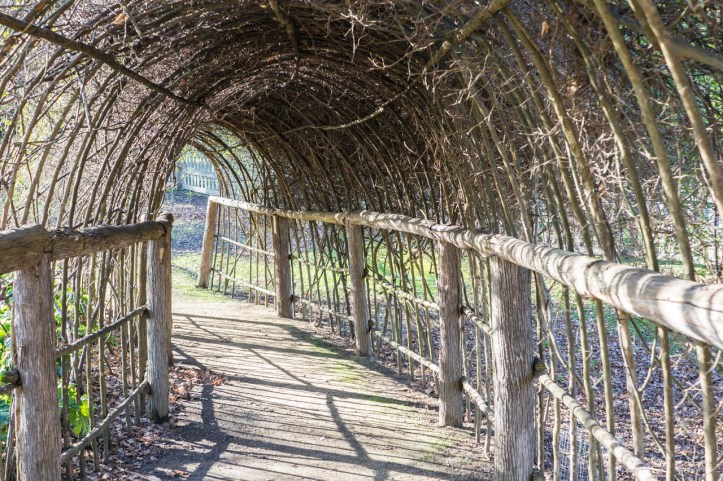 6 East Coast of Tasmania-117