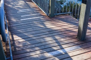 6 East Coast of Tasmania-139