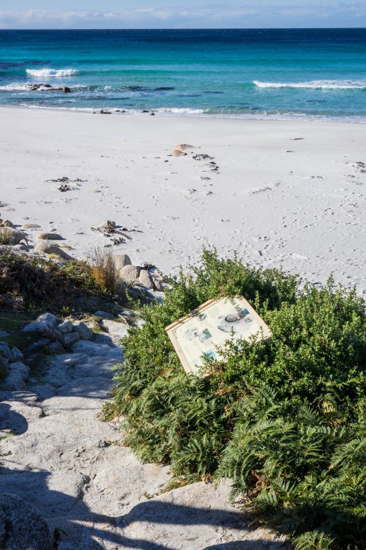 6 East Coast of Tasmania-151