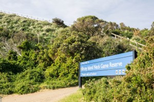 6 East Coast of Tasmania-27