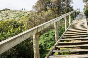 6 East Coast of Tasmania-28