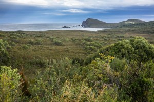 6 East Coast of Tasmania-36
