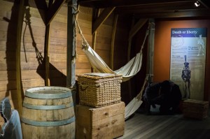 6 East Coast of Tasmania-69