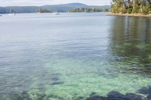 6 East Coast of Tasmania-84