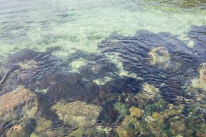 6 East Coast of Tasmania-85