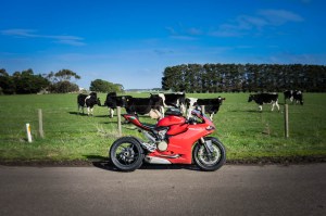 4 SA and VIC Coast-103