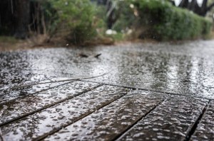 4 SA and VIC Coast-109