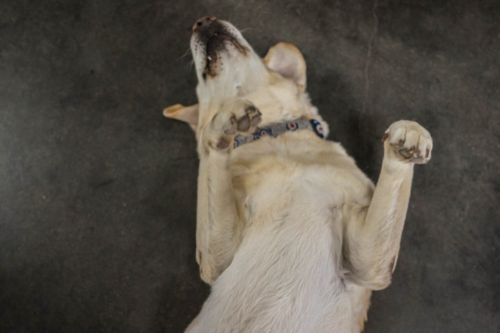 4 SA and VIC Coast-111