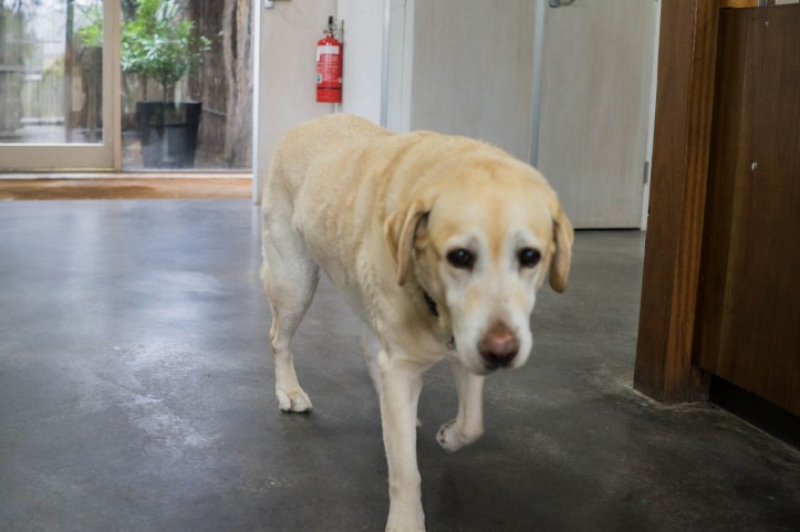 4 SA and VIC Coast-112