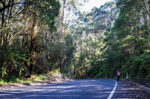 4 SA and VIC Coast-57