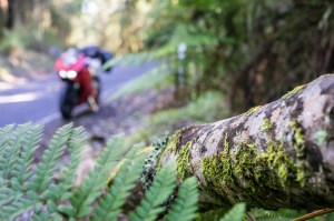 4 SA and VIC Coast-58