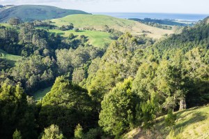 4 SA and VIC Coast-65