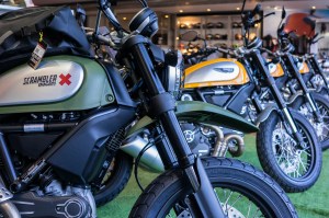 7 Home run back to Sydney-28