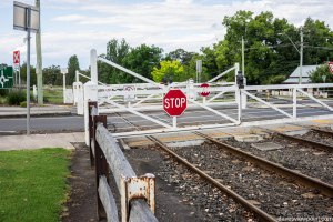2015-11-14 - Burragorang Lookout-5
