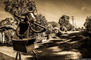 2015-11-14 - Burragorang Lookout-9